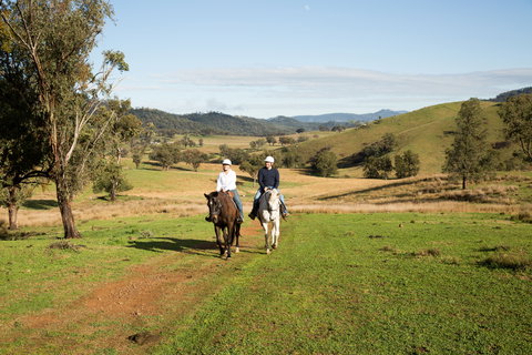 Tamworth And Kootingal Horse Riding Adventures - Attractions Perth 0