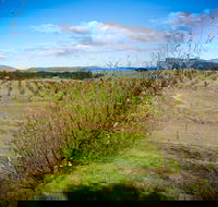Tarago Truffles - Attractions Perth