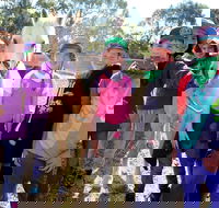 The Saddle Camp - Attractions Perth