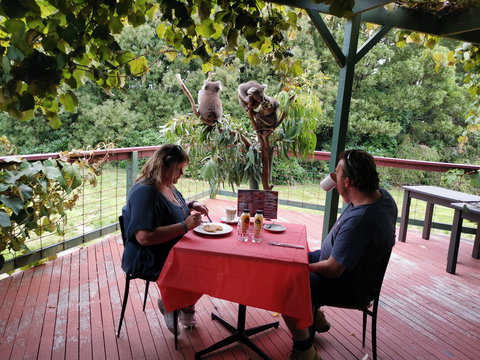 The Aussie Stop Offering Breakfast With Koalas - Attractions Perth 0