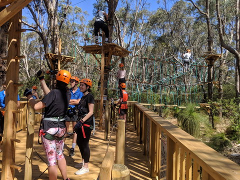Trees Adventure - Yanchep Park - Attractions Perth 0