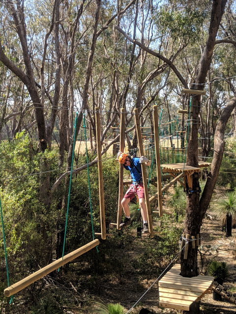 Trees Adventure - Yanchep Park - Attractions Perth 1