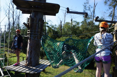 Trees Adventure - Lane Poole Park - Attractions Perth 0
