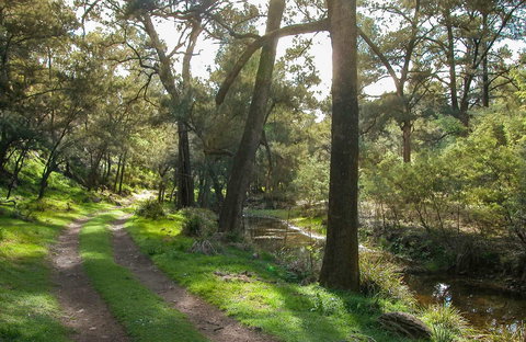 Turon National Park - Attractions Perth 0