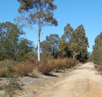 Werakata National Park - Attractions Perth