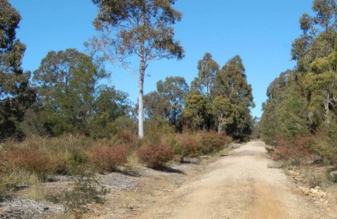 Werakata National Park - Attractions Perth 0