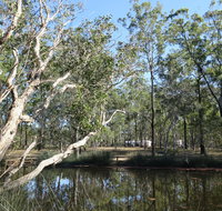 Wongi State Forest - Attractions Perth
