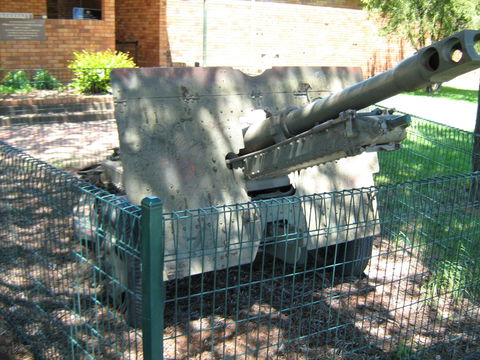 Woodpecker Gun - Attractions Perth 1