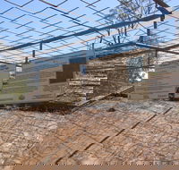 Aboriginal Carvings - Attractions Perth
