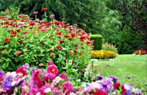 Alma Park - Attractions Perth 0