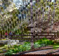 Armadale - Attractions Perth