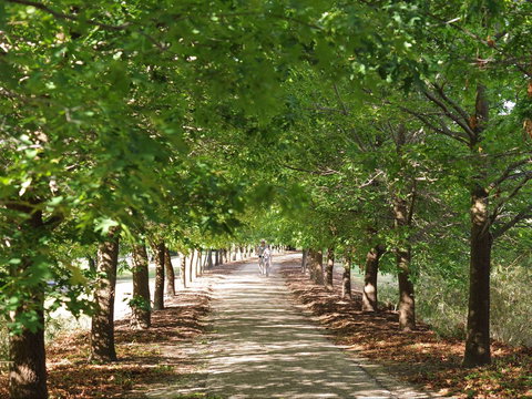 Beechworth To Everton Station 16km - Attractions Perth 1