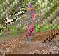 Bom Bom State Forest Mountain Bike Trails - Attractions Perth