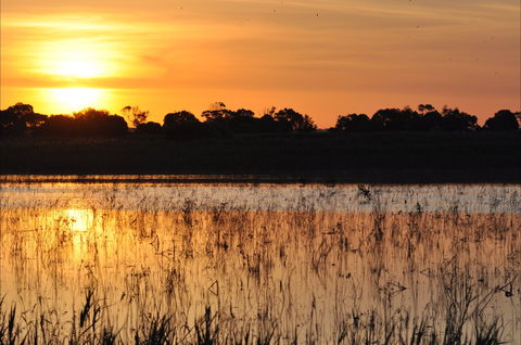 Bool Lagoon Game Reserve And Hacks Lagoon Conservation Park - Attractions Perth 0