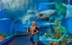 Cairns Aquarium - thumb 0