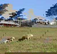 Calmsley Hill City Farm - Attractions Perth