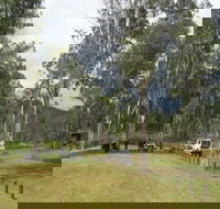 Chaelundi National Park - Attractions Perth