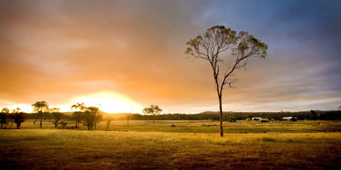 Cooyar - Attractions Perth 0