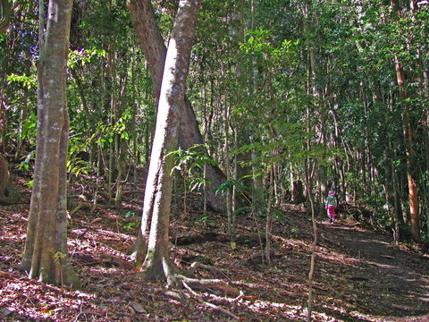 Cooyar - Attractions Perth 1