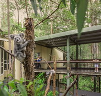 Daisy Hill Koala Centre - Attractions Perth
