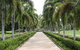 Dan Gleeson Memorial Gardens - thumb 0