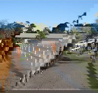 Darkes Forest Riding Ranch - Attractions Perth