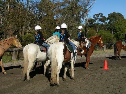 Darkes Forest Riding Ranch - Attractions Perth 1