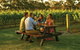 Denmark Food And  Wine Trail - thumb 2