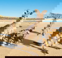 Diamond Head Beach - Attractions Perth