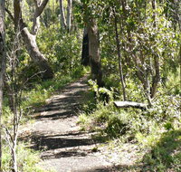 Euglah Rock Walking Track - Attractions Perth