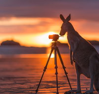 Explore the Mackay Region in Three Days - Attractions Perth