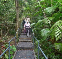 Falls walking track - Attractions Perth