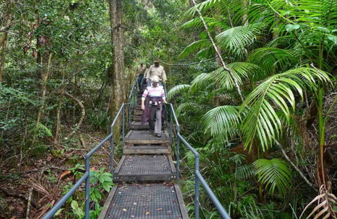Falls Walking Track - Attractions Perth 0
