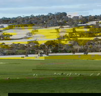 Fini Olives - Attractions Perth