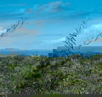 Forest Walking Track Crowdy Bay National Park - Attractions Perth