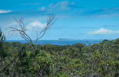 Forest Walking Track, Crowdy Bay National Park - Attractions Perth 0