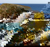 Green Island Walking Track - Attractions Perth