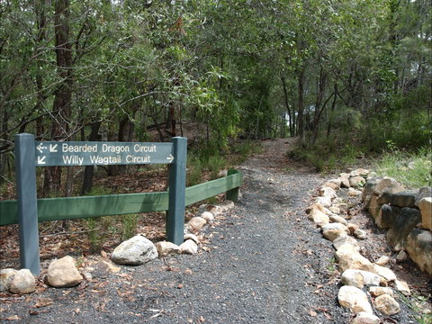 Haig Street Quarry Bushland Reserve Trails - Attractions Perth 1