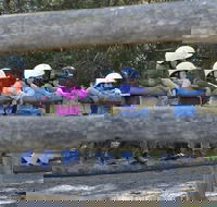 Harlow Park Horse Riding - Attractions Perth