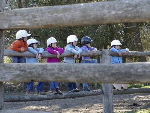 Harlow Park Horse Riding - Attractions Perth 0