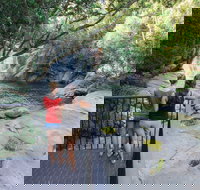 Josephine Falls walking track Wooroonooran National Park