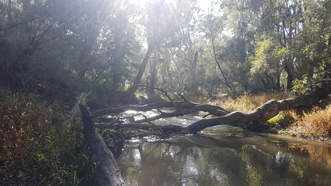 Kaluna Park - Attractions Perth 1