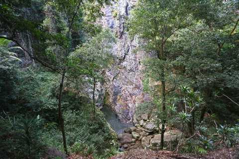 Kondalilla Falls Circuit, Kondalilla National Park - Attractions Perth 0