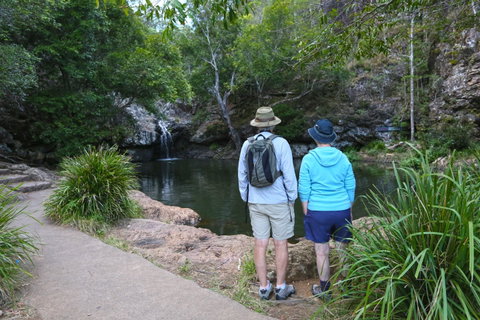 Kondalilla Falls Circuit, Kondalilla National Park - Attractions Perth 1