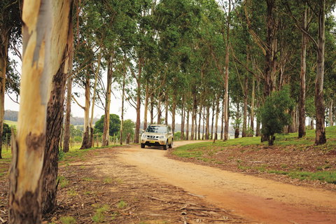 Kumbia - Attractions Perth 0