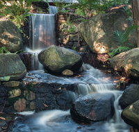 Mackay Regional Botanic Gardens - Attractions Perth