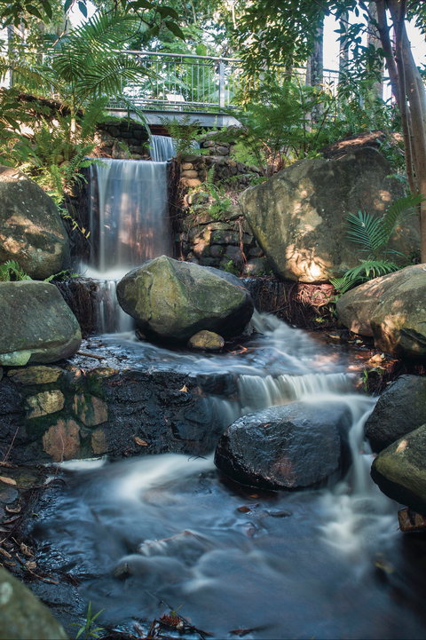 Mackay Regional Botanic Gardens - Attractions Perth 0
