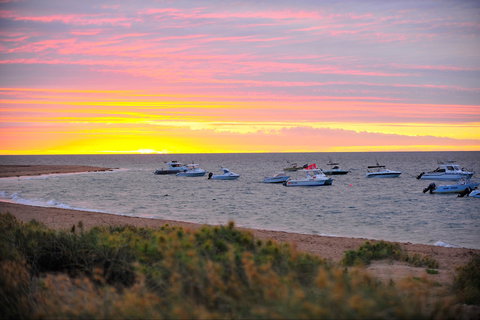Mackerel Islands - Attractions Perth 1