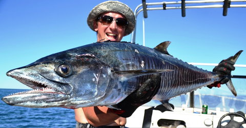 Mackerel Islands - Attractions Perth 2