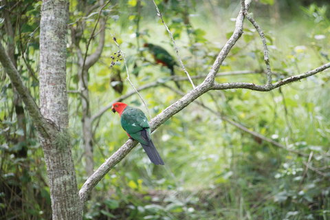 Monto - Attractions Perth 1